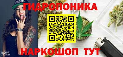 гашик Бузулук